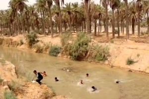 تحقق وعده استاندار خوزستان؛ آب به نخلستان های خنافره شادگان رسید