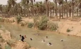 تحقق وعده استاندار خوزستان؛ آب به نخلستان های خنافره شادگان رسید