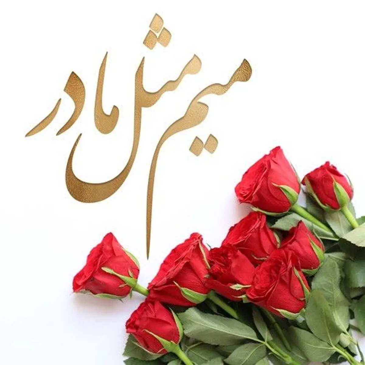 فرشته های روی زمین / وقتی ناگهان با مادرت روبرو می‌شوی...