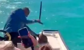 تشکیل پرونده قضایی علیه فرد حیوان‌آزار در گناوه بوشهر/ ویدئو دلخراش