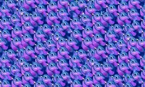 تست بینایی/ آیا می‌خواهید مهارت‌های مشاهده خود را آزمایش کنید؟ پس پروانه را میان پرندگان پیدا کنید