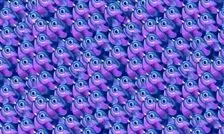 تست بینایی/ آیا می‌خواهید مهارت‌های مشاهده خود را آزمایش کنید؟ پس پروانه را میان پرندگان پیدا کنید