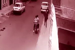 زورگیری دو موتور سوار در روز روشن در خیابان/ ویدئو