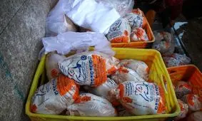 تولید ماهانه مرغ به ۱۸۰ هزار تن رسید

