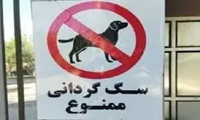 برخورد با سگ گردانی در اماکن و معابر عمومی زرند