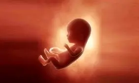 آمار دقیقی از سقط جنین در کشور نداریم/ در طرح جوانی جمعیت به حرف رهبری توجه نشده 