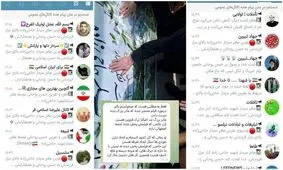 ویدئوی منتشرشده با عنوان «نفرین های مادر شهید حاجی‌زاده» صحت ندارد