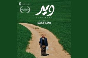 «ویر» به جشنواره مورد تایید بفتا می‌رود
