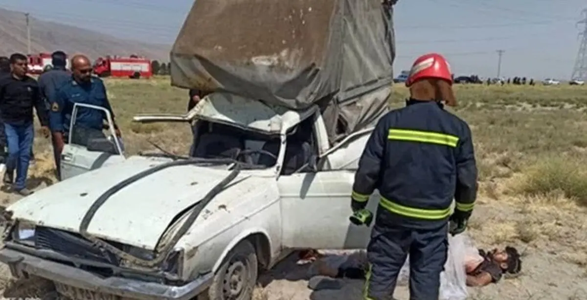 شتر جان یک نفر را در جاده ظفرآباد گرفت