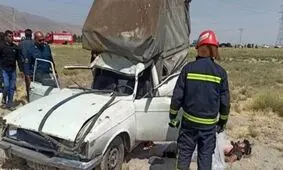 شتر جان یک نفر را در جاده ظفرآباد گرفت