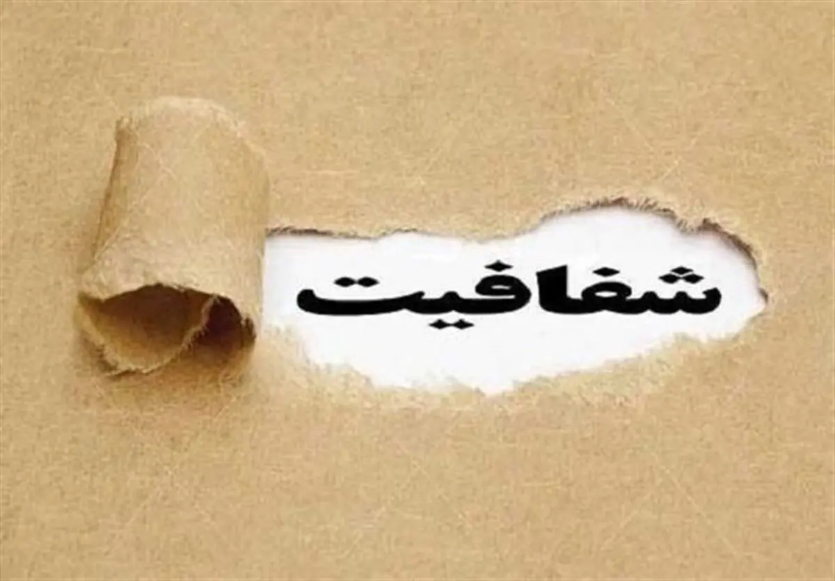 سامانه شفافیت آرای نمایندگان راه اندازی شد/ عدم مشارکت رییس مجلس در این طرح