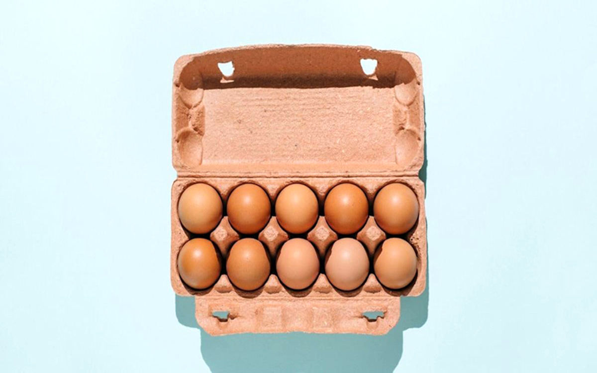موافقان و مخالفان خوردن تخم مرغ چه می‌گویند؟

