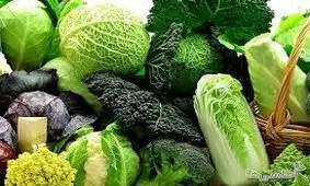 خوردن این گیاه به درمان سرطان تخمدان کمک می‌کند