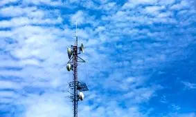 پارازیت ها باران را عقیم می‌کنند؟