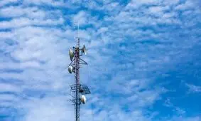 پارازیت ها باران را عقیم می‌کنند؟