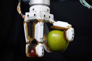 ساخت دست‌ رباتیک با الهام از پای مارمولک!