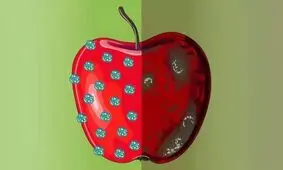 ساخت واکس نانویی که ماندگاری میوه‌ها را افزایش می‌دهد

