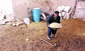 مرد کشاورزی که یک زن بود