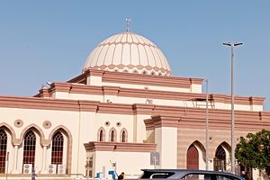 مسجدی که بهشت پرندگان است/ ویدئو