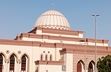 مسجدی که بهشت پرندگان است/ ویدئو