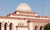 مسجدی که بهشت پرندگان است/ ویدئو