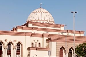 مسجدی که بهشت پرندگان است/ ویدئو