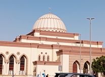 مسجدی که بهشت پرندگان است/ ویدئو