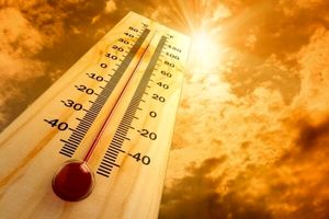 سازمان هواشناسی: گرمای بی سابقه طی ۱۱ سال اخیر صحت ندارد