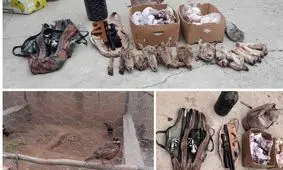 بازداشت شکارچی سابقه‌ دار با کلکسیونی از جرائم