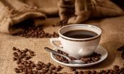 فواید مهم نوشیدن یک فنجان قهوه در روز