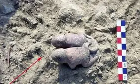 «قورباغه‌های به هم چسبیده» بعد از 3800 سال از زیر خاک بیرون آمدند 