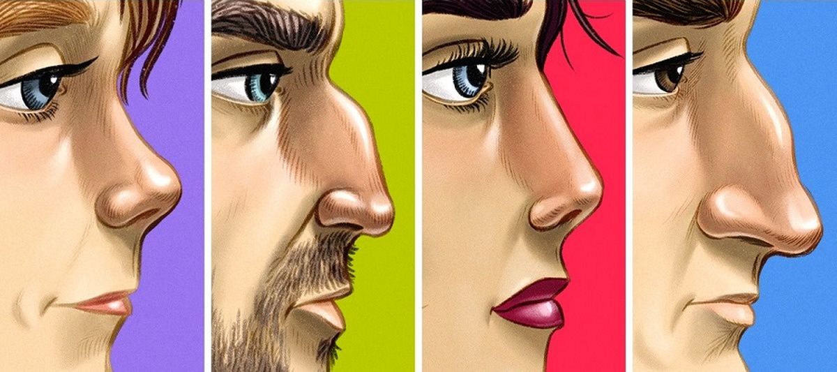 فرم بینی تان درباره شخصیت شما چه میگوید؟