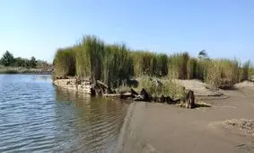 یک کَشتی دوره صفوی در آبهای محدوده رامسر کشف شد