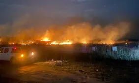 عامل آتش سوزی عمدی در تالاب انزلی دستگیر شد