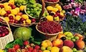 راز گرانی میوه چیست؟