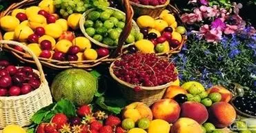 بهترین میوه ها برای سلامت کلیه