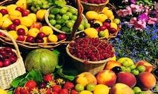 قیمت میوه های تابستانی نجومی شد
