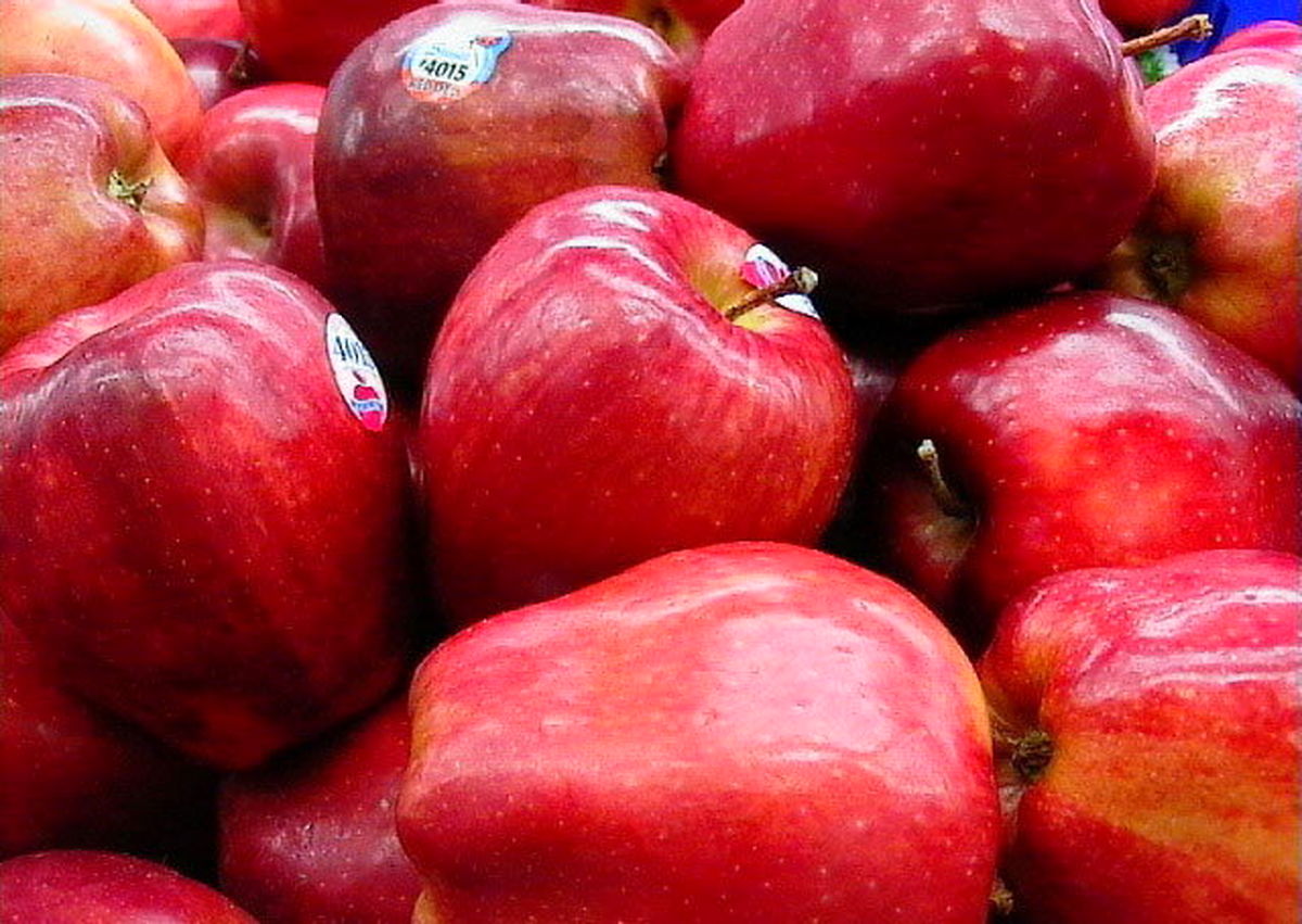 درآمد صادرات سیب چقدر است؟