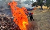 فعال محیط زیست: ۴۰ تا ۵۰ درصد خائیز در آتش سوخت!