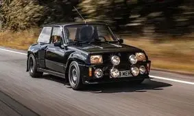 سوسک سیاه که در ایران هم حسابی محبوب بود