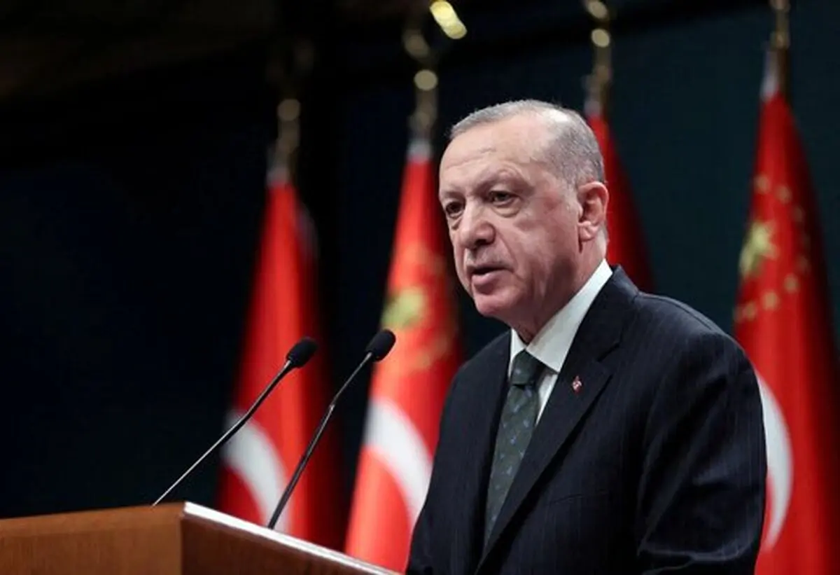 توصیه اردوغان: هر چه دارید به لیر تبدیل کنید!