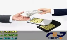 پرسودترین سرمایه گذاری در بازار
