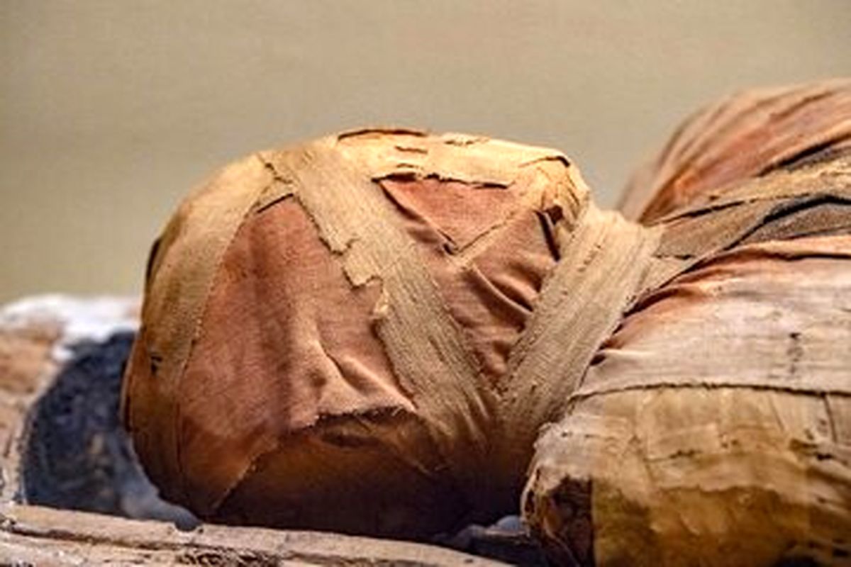 از مومیایی شاهدخت ایرانی تا موجودات فضایی مکزیک؛ موضوعاتی که آمدهاند تا خبرساز شوند!