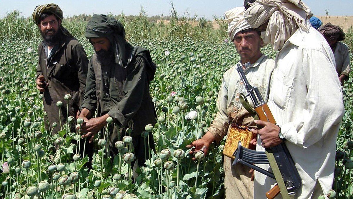 «شاهرگ» ترانزیت موادمخدر طالبان از ایران را بزنید/ خزانه آنان را از این «پول کثیف» کلان محروم کنید

