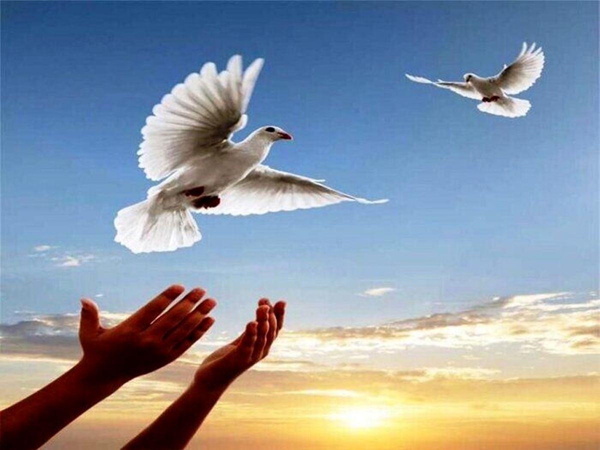 رهایی ۱۸ محکوم به مرگ از چوبه دار در کرمان
