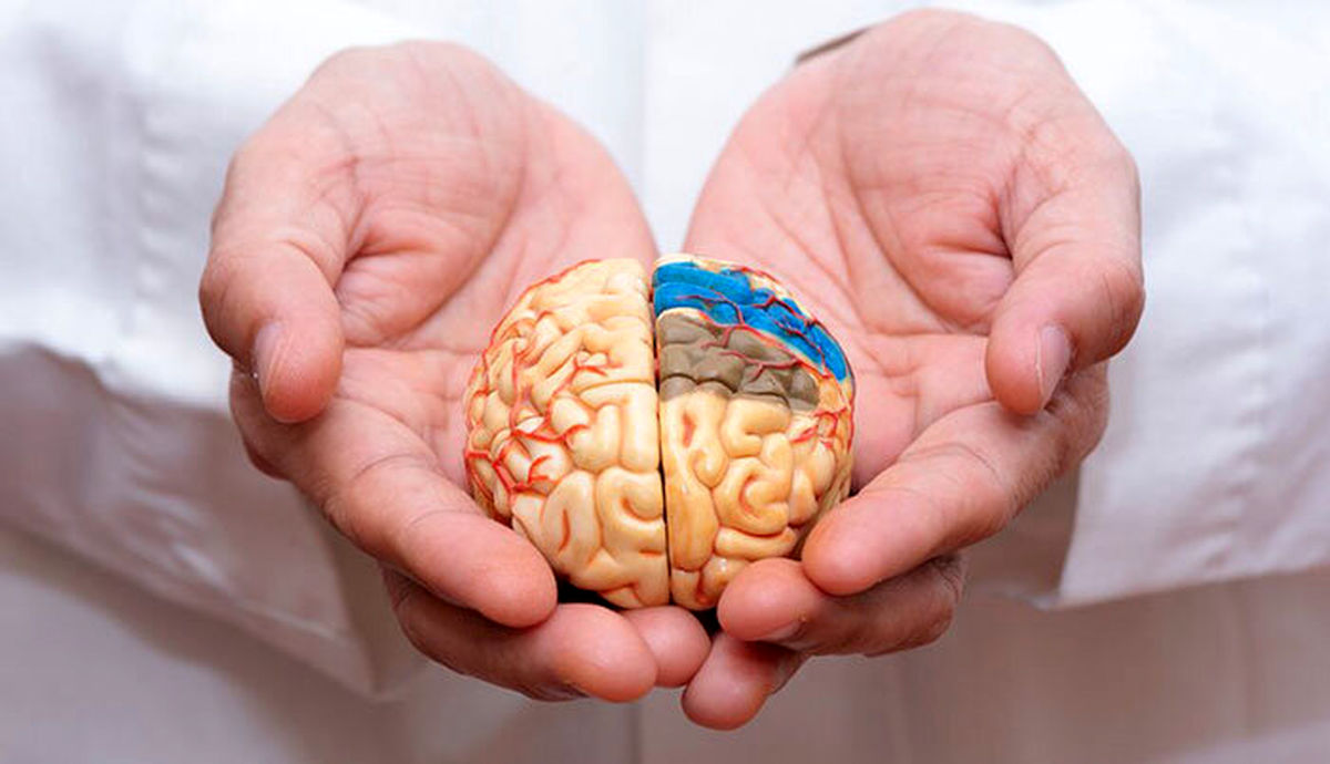 ساده ترین راه جلوگیری از آلزایمر