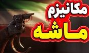 مکانیسم ماشه اگر علیه ایران اجرا شود، فقط برای چند ماه آثار تورمی خواهد داشت/ به تدریج امکان سازگاری اقتصاد با آن و هضم شوک در شاخص ها وجود دارد