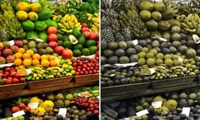 افراد دچار کور‌رنگی دنیای اطراف را چگونه می بینند؟/ ویدئو