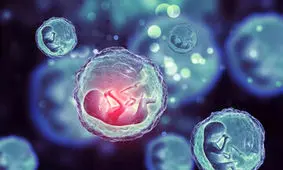 تخمک و جنین فریز شده تا چند سال قابلیت نگهداری دارد؟