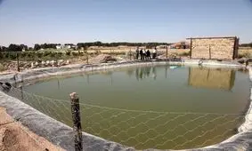 هیچ مجوزی برای پرورش ماهی تیلاپیا در کرمانشاه صادر نشده است